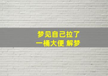 梦见自己拉了一桶大便 解梦